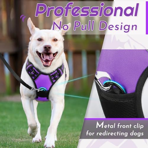 Eagloo Dog Harness for Large Dogs, No Pull Pet Vest with 2 Leash Clips - Image 2