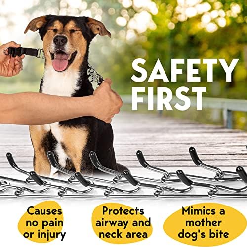 PetJett Prong Collar for Dogs - Choke Collar for Dogs, Pinch Collar for Dog, Adjustable Training Collar & Walking Tool for Small, Medium, or Large Breed - No Pull Stainless Steel Metal Choker Chain - Image 3