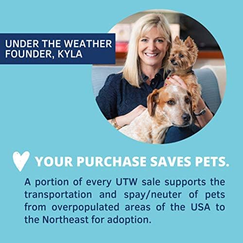 Under the Weather Bland Diet for Dogs | Easy to Digest for Sick Dogs | Always Be Ready | Contains Electrolytes - All Natural Freeze Dried 100% Human Grade Meats | 6 Pack - Multiflavor - 6oz - Image 5