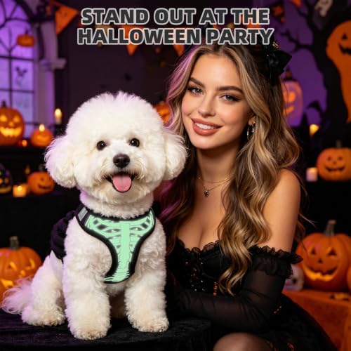 KOOLTAIL Halloween Dog Harness and Leash Set for Small Medium Dogs,Step in No Pull Soft Mesh Comfort Padded Pet Vest Harness,Glow-in-Dark Skeleton Design Easy Walking Puppy&Cat Harness for Holiday S - Image 4