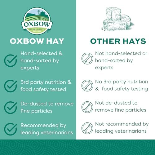Oxbow Western Timothy Hay, Rabbit & Guinea Pig Hay, High Fiber, USA, 90 oz - Image 3