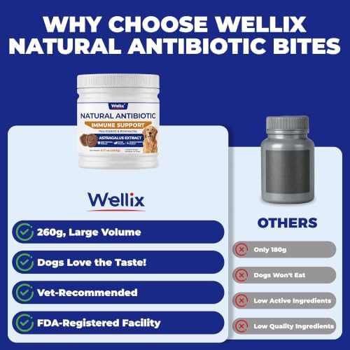 Wellix Natural Antibiotics Chews for Dogs, Immune Support 9.17oz - Image 6