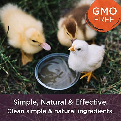 Dr. Connie's Livestock Probiotic + Electrolyte Powder for Animals - Image 4