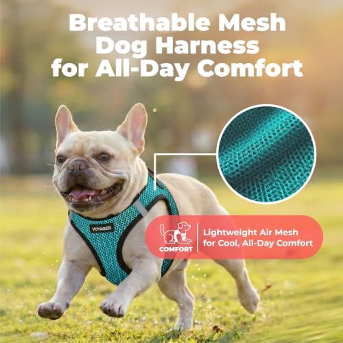 Voyager Step-in Air Dog Vest Harness - Turquoise 2-Tone, Medium - Image 4