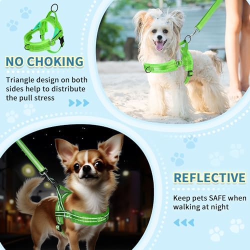 SlowTon No Pull Small Dog Harness and Leash Set with Front Clip - Image 3