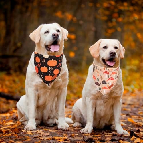 PTDECOR Black Fall Dog Bandana, Pumpkin Mushroom Design Dog Scarf, X-Large - Image 3