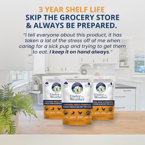 Under the Weather Bland Diet for Dogs | Easy to Digest for Sick Dogs |Always Be Ready | Contains Electrolytes - All Natural Freeze Dried 100% Human Grade Meats | 1 Pack - Rice, Chicken & Pumpkin - 6oz - Image 6