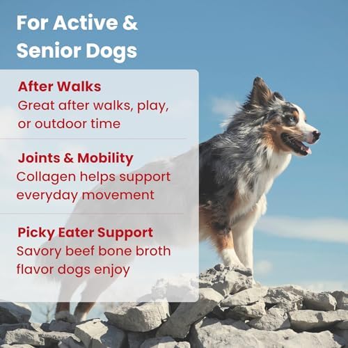 Electrolytes for Dogs with Protein – Hydration & Mobility Support with Collagen – Made with Real Beef Bone Broth – Dog Food Topper for Picky Eaters – 14 Sticks - Image 3
