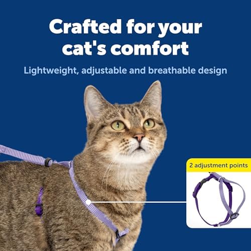 PetSafe Come With Me Kitty Harness and Bungee Cat Leash, Medium, LILAC/BRIGHT PURPLE, Model:CWMK-M-LLC - Image 4