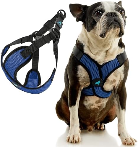 Gooby Comfort X Step-in Lite Harness, Choke-Free, Blue, X-Small - Image 3