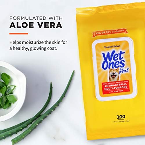Wet Ones for Pets Multipurpose Dog Wipes, Tropical Splash, 100 Count, 12-Pk - Image 3