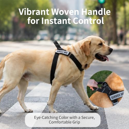 No Pull Dog Harness and Leash Set, Australian Dog Harness, Service Dog Harness with Handle and 4 Reflective Patches, Adjustable Training Vest for Small, Medium and Large Dogs (Black,XS) - Image 3