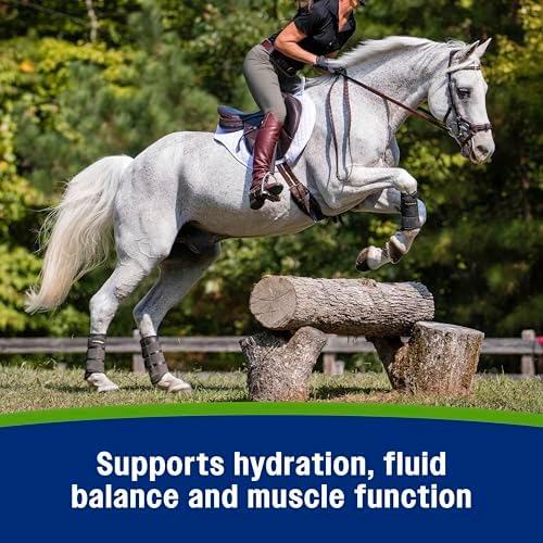 Farnam Apple Elite Horse Electrolytes Powder Supplement, 40 Day Supply - Image 6