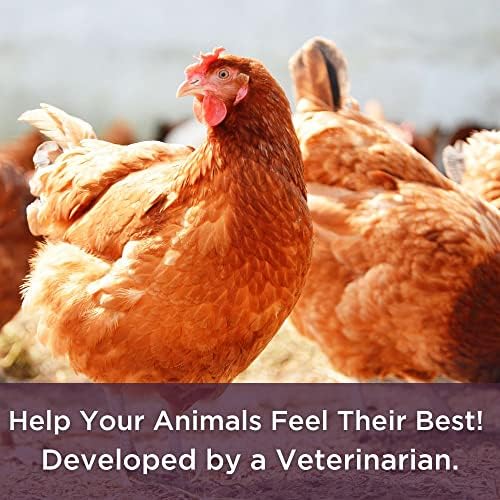 Dr. Connie's Livestock Probiotic + Electrolyte Powder for Animals - Image 6