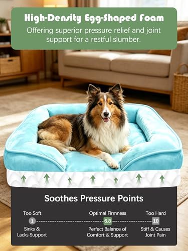 Spotted Play Orthopedic Dog Bed with Sides - Sofa Beds for Large Dogs, Supportive Foam Pet Couch Bed with Washable Removable Cover, Waterproof Lining and Non-Slip Bottom, Ice Blue - L-Plus - Image 4