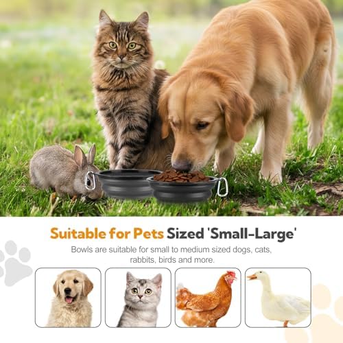 Collapsible Dog Bowl Large 34oz, Travel Dog Water Bowl Portable - Image 2