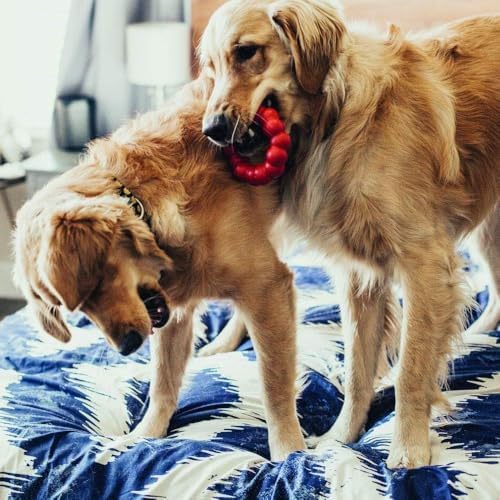 KONG Ring, Natural Rubber Chew Toy for Dental Health, for Extra Large Dogs - Image 2