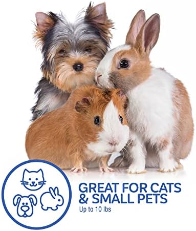 Petmate Top Load Plastic Cat Kennel, One-Door, 19in, Purple, 19.0" L x 12.5" W x 10.8" H (Pack of 4) - Image 6