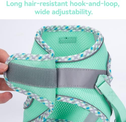 Petank Step in Dog Harness No Pull and Leash for Small Medium Dogs Cats. - Image 6