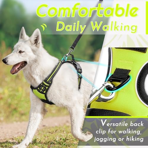 Eagloo Dog Harness for Large Dogs, No Pull Pet Vest with 2 Leash Clips - Image 3