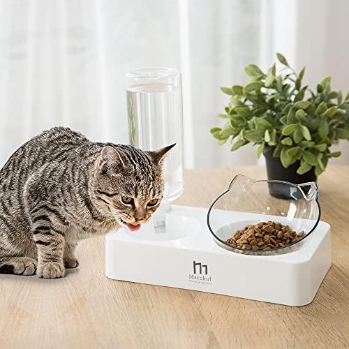 Marchul Double Elevated Dog Cat Bowl, Pets Water and Food Bowl Set, 15° Raised Tilted Dishes Indoor for Kitten, Puppies, Small or Medium Size Dogs Cats - Image 2