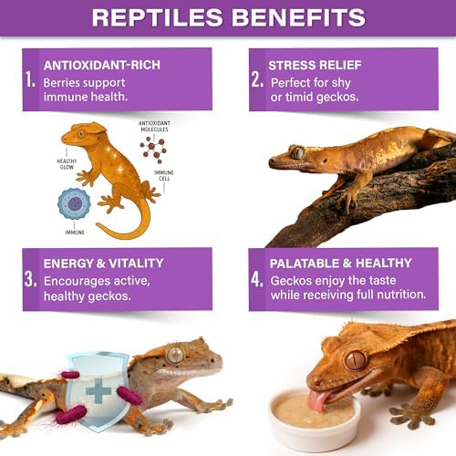 Gargeer 2oz Picky Geck Wildberry Burst - Crested Gecko Food. Made in USA - Image 3