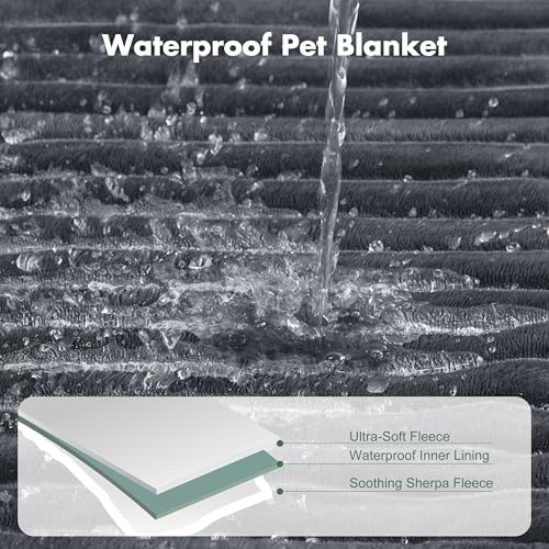 Waterproof Dog Blanket for Couch - Washable Medium Pet Blanket for Furniture Protector, Cozy Fleece Calming Dog Crate Blankets for Indoors & Outdoors, Dark Grey, 30"x40" - Image 3