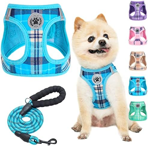 BEAUTYZOO Small Dog Harness and Leash Set, No Pull Puppy Pet Vest- Blue, S by BEAUTYZOO