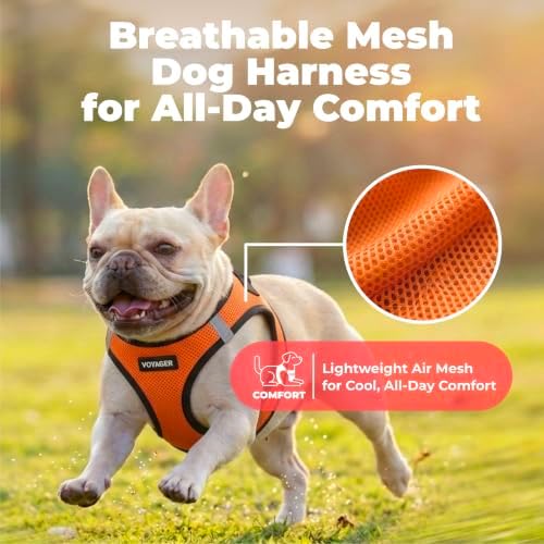 Voyager Step-in Air Dog Vest Harness - Orange/Black Trim, Small - Image 5