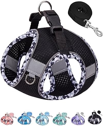 Petank Dog Harness for Small Medium Dogs No Pull, Puppy Harness and Leash Set, Step in Dog Harness for Walking, Running, Training, Small Dog Vest, Medium Dog Vest (Black, M) by PetankCareforEveryPaw