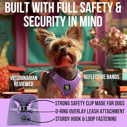 EcoBark Step in Dog Harness, Reflective & Adjustable Body Halter Vest, XL - Image 2