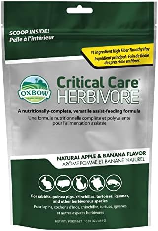 Oxbow Critical Care Herbivore, Rabbit & Guinea Pig, Apple Banana, 454 g by OxbowAnimalHealth