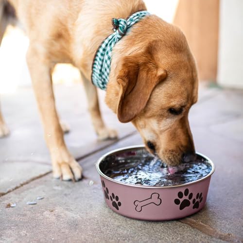 Loving Pets Bella Dog Bowls- Stainless Steel Dog & Cat Bowls - Spill Proof Dog Food Bowl, Cat Bowl, Puppy Essentials & Pet Supplies Great for Home & Travel (Small 10-20 lbs, Grape) - Image 5