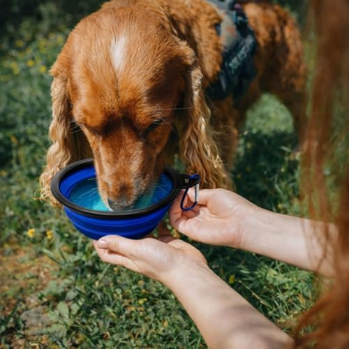 Cutie's PetBox Collapsible Travel Water & Food Bowl for Dogs and Cats, Small Size 12oz - Image 3