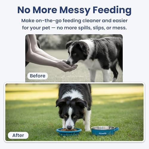 PawsPik 2-in-1 Travel Dog & Cat Bowl – Collapsible BPA-Free Silicone - Image 5