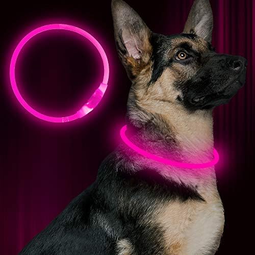 Led Dog Collar,BSEEN USB Rechargeable Light up Flash Dog Necklace by BSEEN