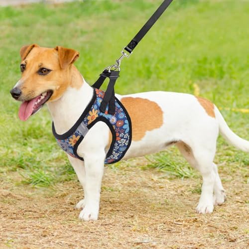 KOOLTAIL Dog Harness and Leash Set for Small Medium Dogs, Step in No Pull Comfort Padded Pet Vest, Adjustable Reflective Easy Walking Puppy Cats Harness Training, Flower Navy M - Image 6
