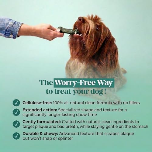 Pet Honesty Brush Buddies Vet Backed Dog Dental Chews, 25 Count - Image 6