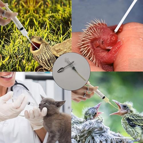 10pcs Parrot Feeding Tools Bird Parrot Feeding Tubes Food Syringe - Image 6