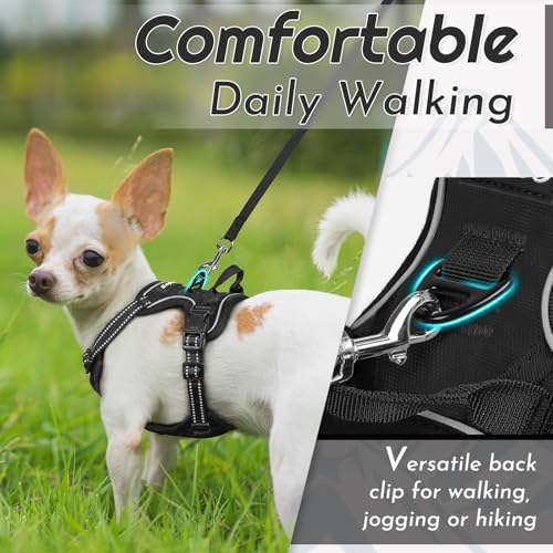 Eagloo Dog Harness for Small Dogs, No Pull Pet Vest with 2 Leash Clips - Image 4
