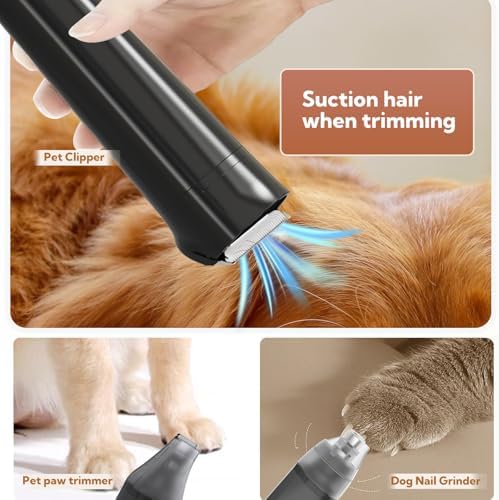 Bunfly Dog Grooming Kit with 13000kpa Strong Grooming & Vacuum Suction 99% Pet Hair,3L Capacity,11 Grooming Tools Dogs Cats and Other Animals,Home and Car Cleaning -Black - Image 5