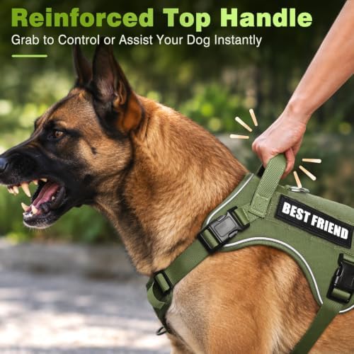 WINSEE No Pull Tactical Dog Harness with Leash Set with 2 Patches - Image 4