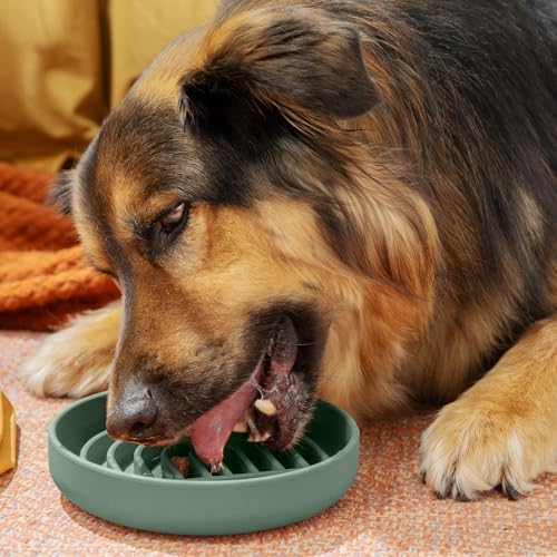 Slow Feeder Dog Bowl - Silicone Dog Bowl, Medium, 7.5" x 1.5" - Spruce - Image 4