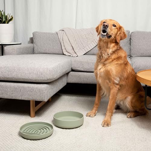 The Perfect Dish - Silicone Dog Bowl for Food & Water, 9.5" x 2.5"- Sage - Image 5