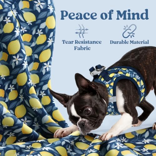 rabbitgoo Step-in Small Dog Harness, Puppy Vest for Small Sized Pet - Image 5