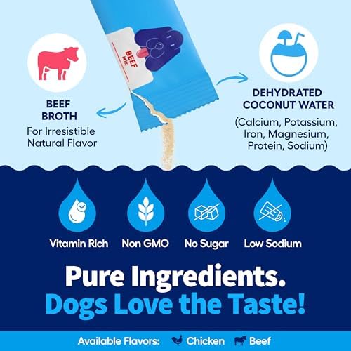 LYX Hydration Dog Electrolytes Water Enhancer, Beef, 7-Count - Image 3
