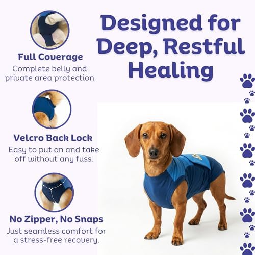 Surgi Snuggly Dog Surgery Recovery Suit, Cone Alternative, Spay/Neuter SL - Image 3