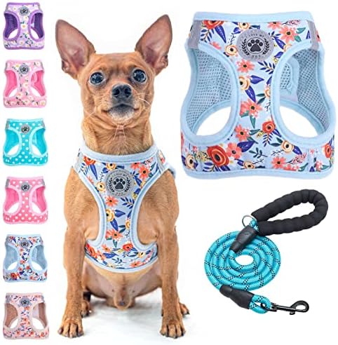 BEAUTYZOO Small Dog Harness and Leash Set,No Pull Puppy Pet Vest-Floral,2XS by BEAUTYZOO