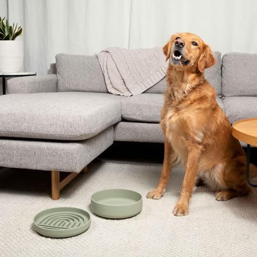 The Perfect Dish - Silicone Dog Bowl for Food & Water, 7.5"x2.25"- Charcoal - Image 4