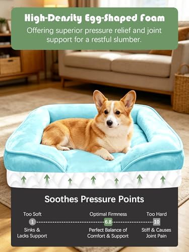 Spotted Play Orthopedic Dog Bed with Sides - Sofa Beds for Medium Dogs, Supportive Foam Pet Couch Bed with Washable Removable Cover, Waterproof Lining and Non-Slip Bottom, Ice Blue - M - Image 4